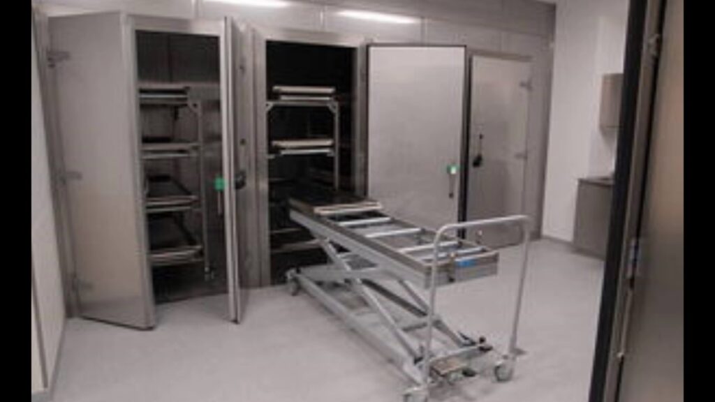Freezer Box vs Mortuary Storage: What’s the Difference and Which One to Choose?