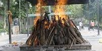 Wood Cremation